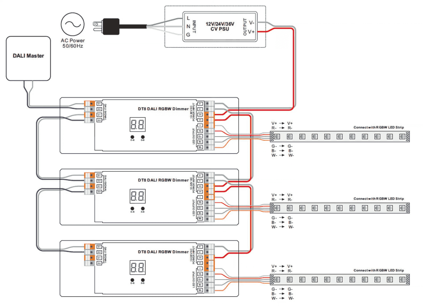 RGBW LED strip wired to a DALI DT8 driver, the four colour channels sharing a common